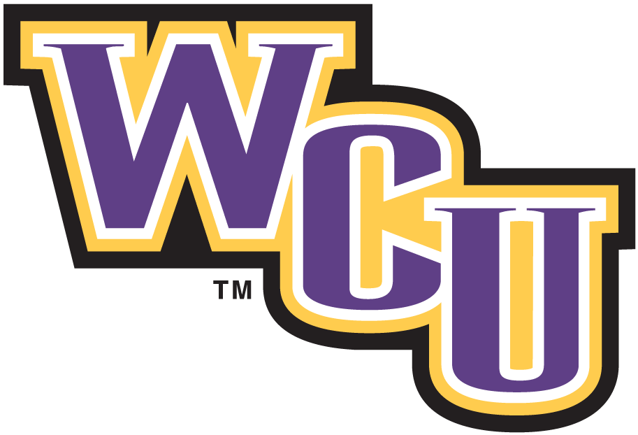 Western Carolina Catamounts 1996-2007 Wordmark Logo v5 diy fabric transfer